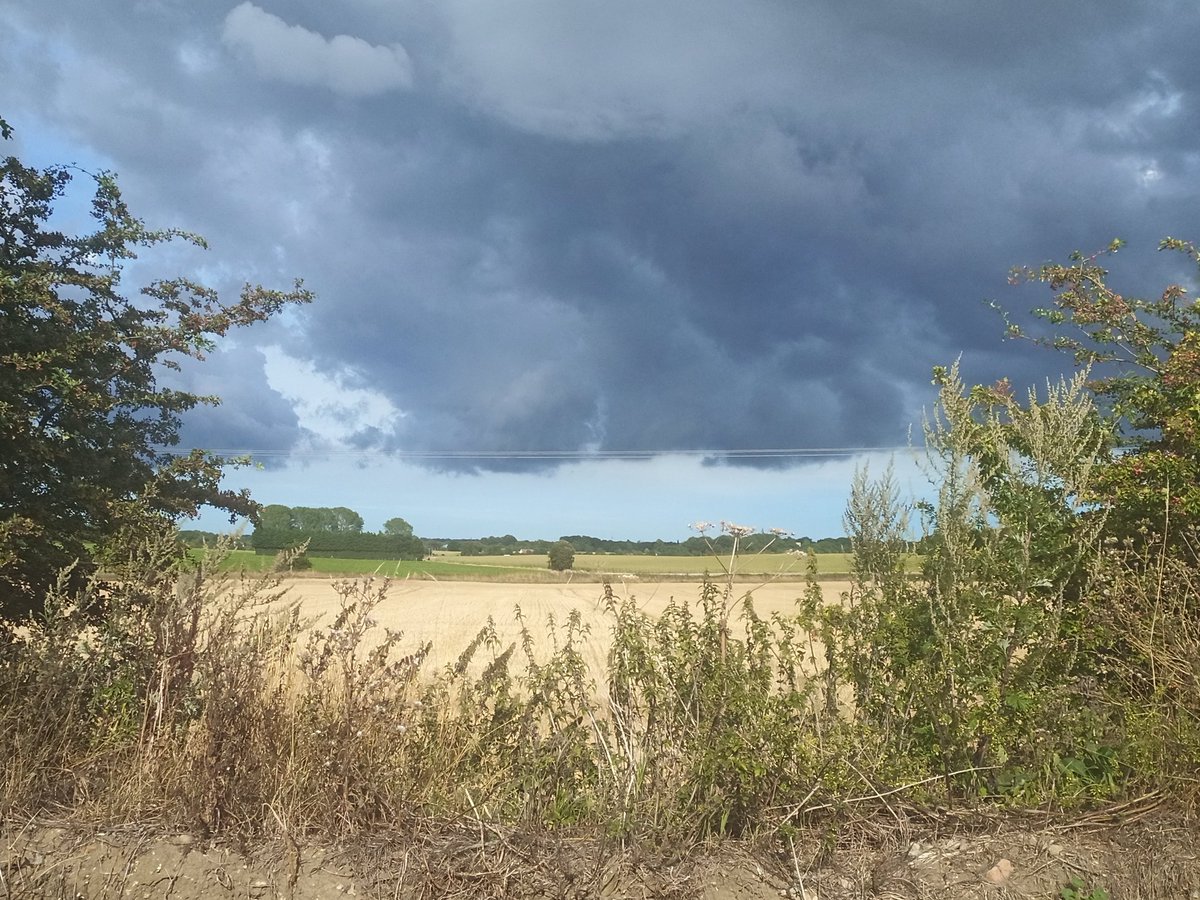 AndyWoodturner's tweet photo. "Just paint the clouds to the line, and go just over it in a few places so it looks natural..."
#workshopview https://t.co/tn9EZn2V1k