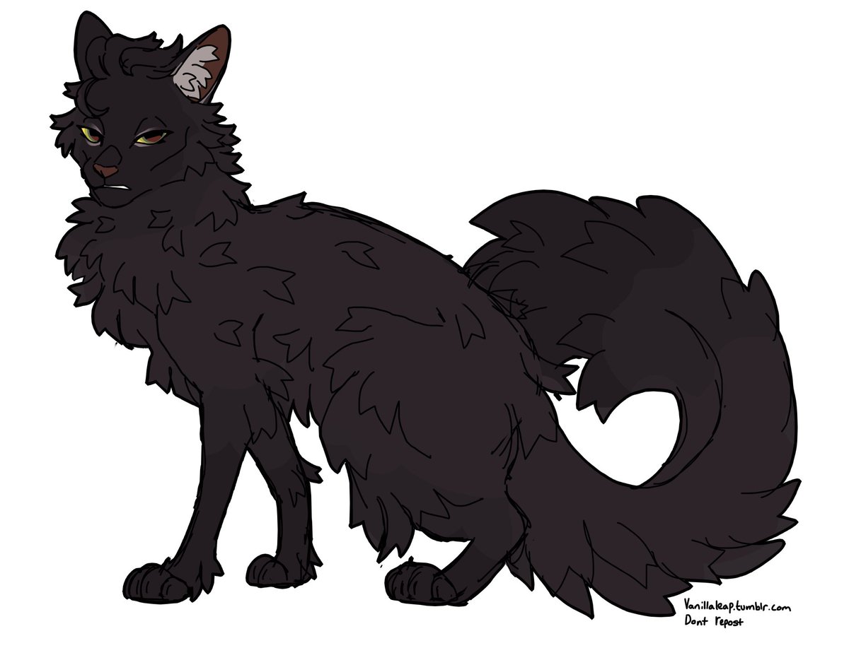 hollyleaf
#warriorcats