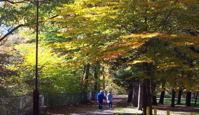 OleanNYChamber's tweet photo. The Allegheny River Valley Trail is a 5.6 mile recreational trail through Olean, Allegany and St. Bonaventure University campus is used for fitness activities such as hiking, running, biking, and in-line skating! #takeahike #gotrekking https://t.co/sXy22JTWZo