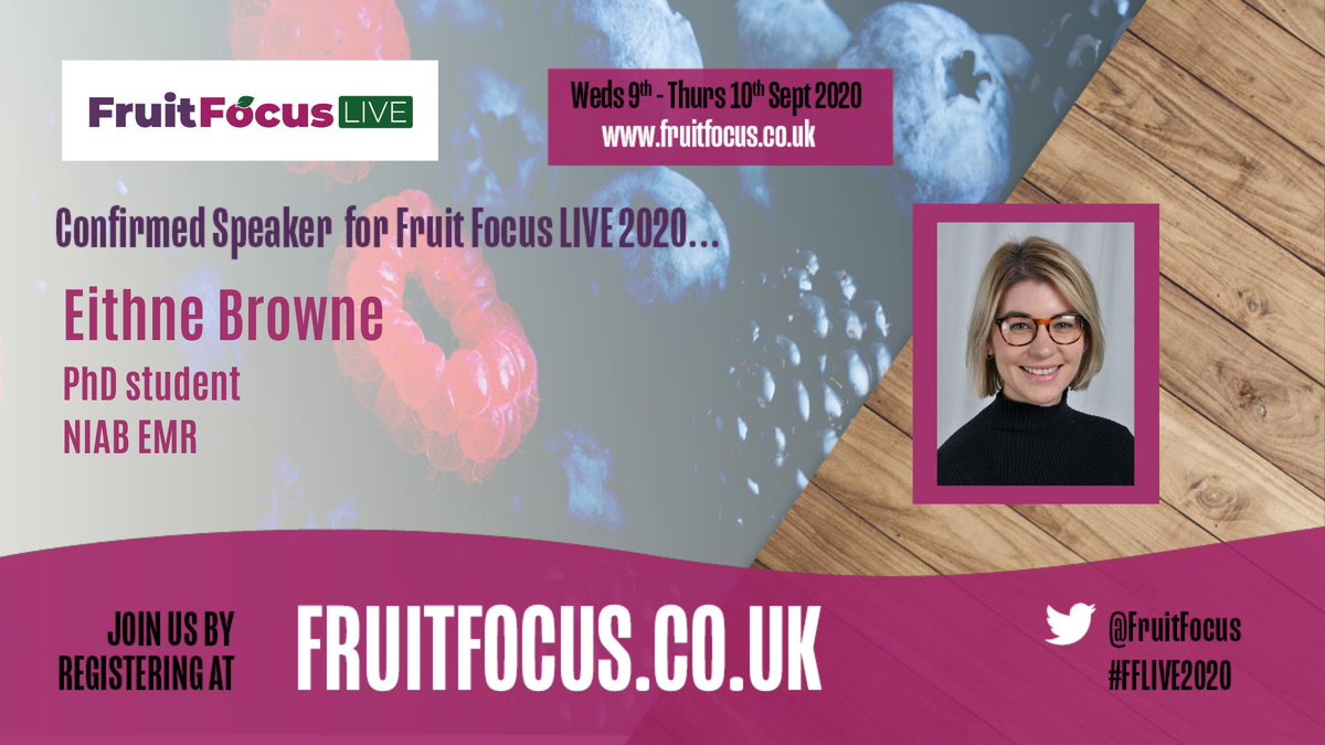 FruitFocus's tweet photo. Join Eithne Brown, a @HarperAdamsUni PhD candidate based at @NIABEMR in the #Raspberry Root- Rots webinar at #FFLIVE2020, investigating the incidence &amp; effect of Phytophthora root-rot on UK raspberry #crops. Take part in her survey https://t.co/h7FmZnvtd0 #growers #Horticulture https://t.co/pyXw6RsC7f