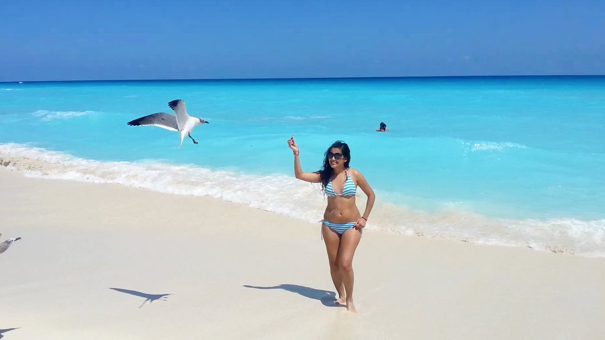 TurismoChannel's tweet photo. This is how the beaches of Cancun are looking today,  when you come to Mexico make sure to visit the hotel zone at least one day 🤩.There is No Sargassum and the public beaches will be opening this August20 
 #cancunbeaches #crystalwater #noseaweed 
#cancun #summer2020 #August20 https://t.co/BhDFpdYA7f