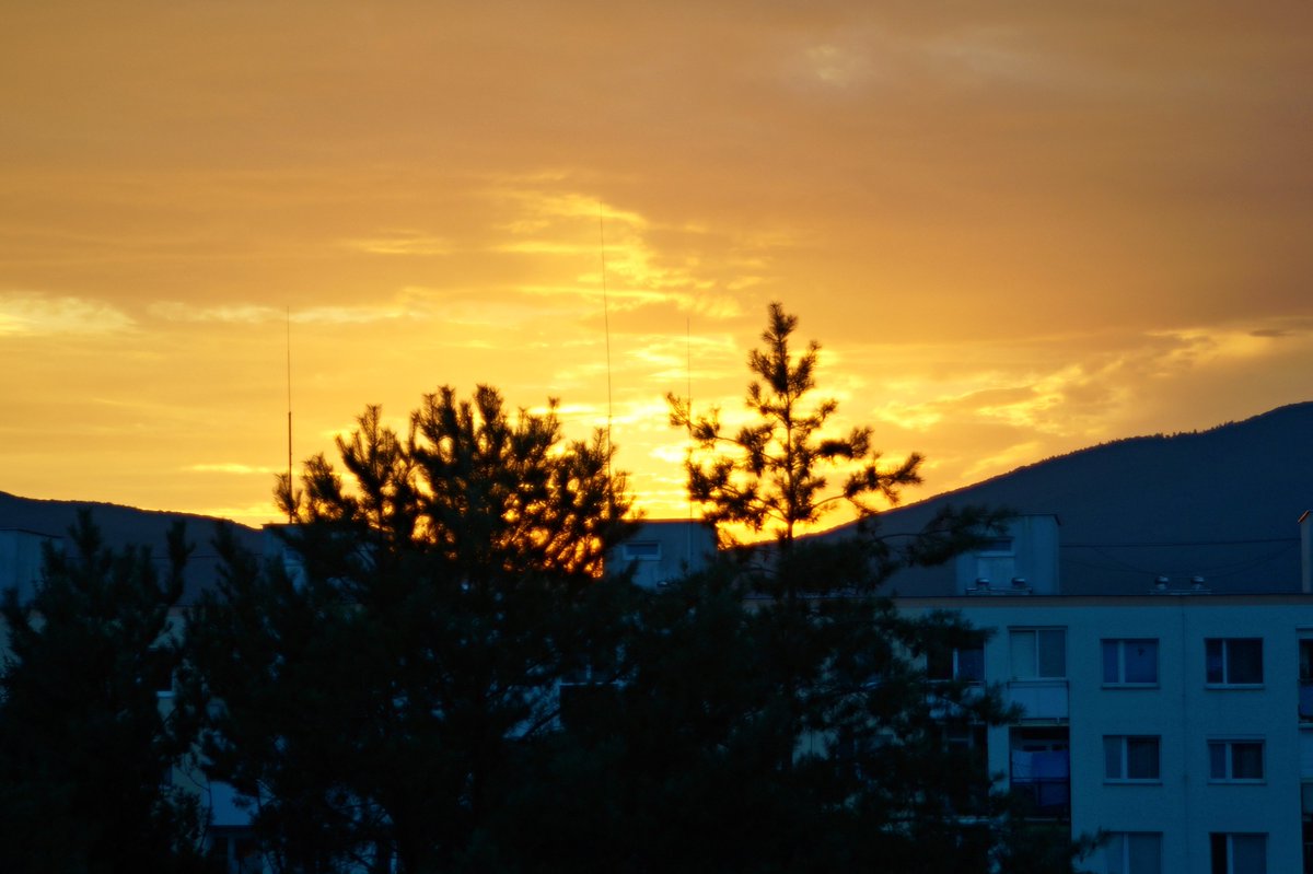 stanley_f21's tweet photo. Západ slnka-Sunset #landscapelovers #amateurphotography #instaphoto #sunset #sunsetlovers #slovakia #slovensko #sun #photooftheday #sony #sonyalpha #goldensunset #trip #trees #sky #landscape #beautiful #beautifuldestinations #praveslovenske #takeslovenske #pureslovakia https://t.co/tP5EbKiFfm