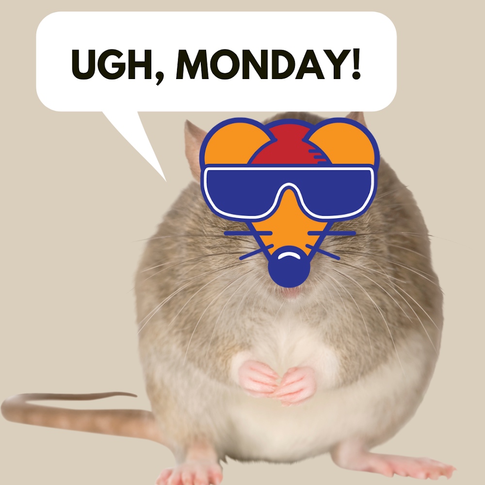 SquirrelsUrban's tweet image. Mondays, am I right?😞 To help get you through your Monday blues, we’re offering FREE kiss-cut stickers! All you have to do is pay shipping⛵️ 

Check us out with the link in our bio🐀

#free #stickers #coolfactor #urbansquirrels #urbansquirrelpack #urbanfashion #shoponline
