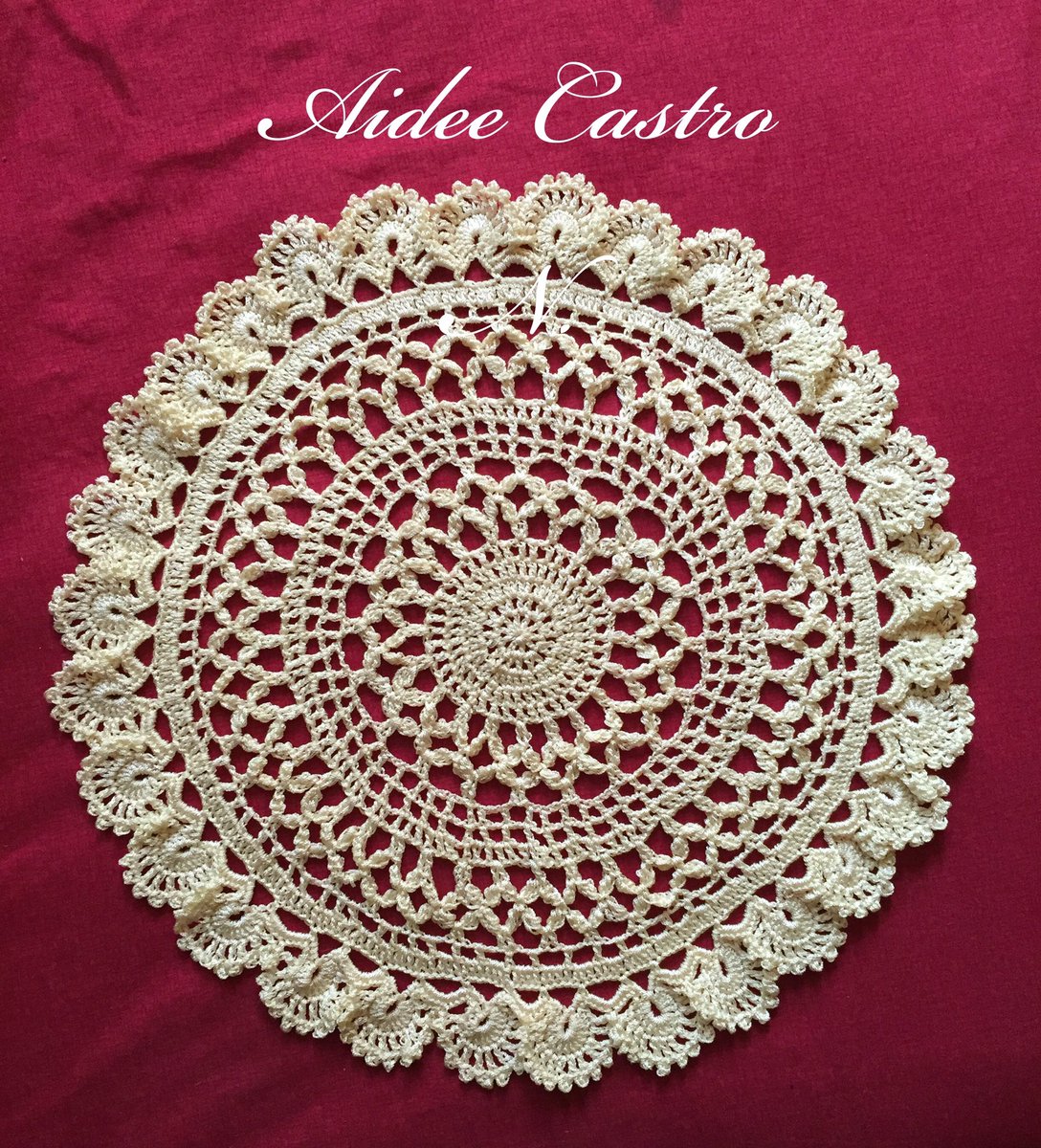 Aide_Cast tweet picture