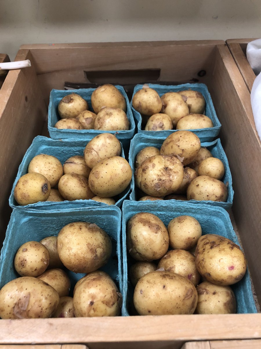 gentlerainstore's tweet photo. More new yummy produce!!!! Yellow baby potatoes and ORGANIC corn 😍 Grab it while you can! https://t.co/TNPd6jIKbI