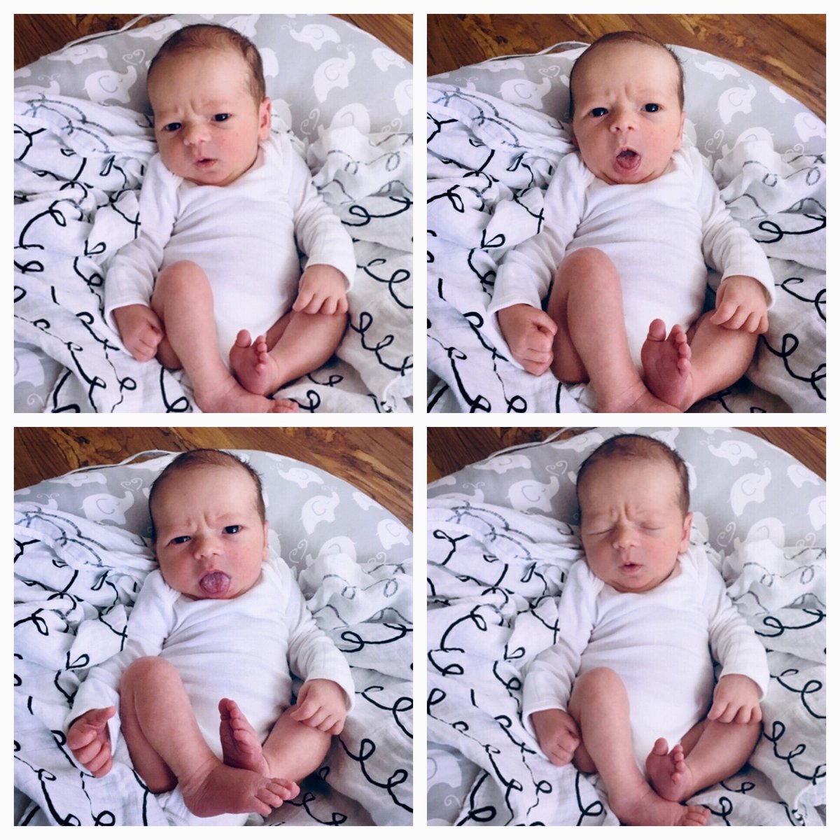 Marvi Blandon, M.S tweet media