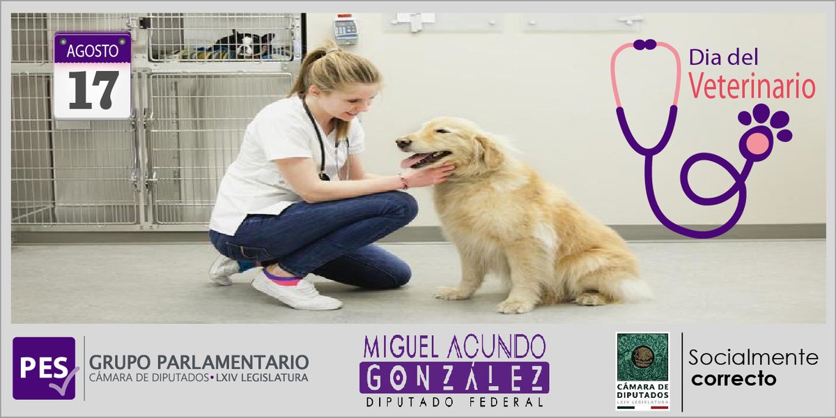 La labor de las y los veterinarios implica una gran responsabilidad para el diagnóstico de los problemas patológicos en los animales. Por ello, extiendo una felicitación a todas y todos ellos, en el día que conmemoramos su trabajo y esfuerzo.

#DíaDelVeterinario
#AcundoContigo
