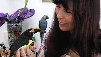 ChrissyGates8's tweet photo. "They may be old, sick, or disabled, but their lives matter too." - Willows Wings. Check out my Instagram (@where_is_chrissy_today) for more on this organization.
📷Willow's Wings Animal Sanctuary
"They may be old, sick, or disabled, but their lives matter too." - Willows Wings https://t.co/15g0p6vCOh