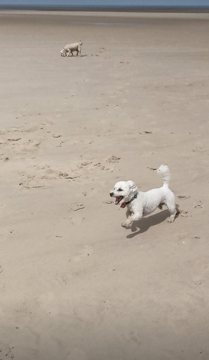 Ted Dale tweet media