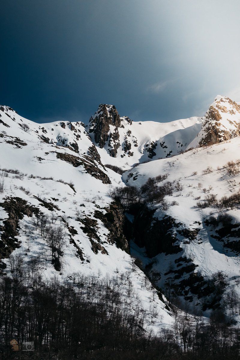 cris_eff's tweet photo. 🐒📸🏔️.
.
.
.
#snow #mountains #sky #outdoors #Chile #ñuble #trekking #cielo https://t.co/bSQEcumoUa