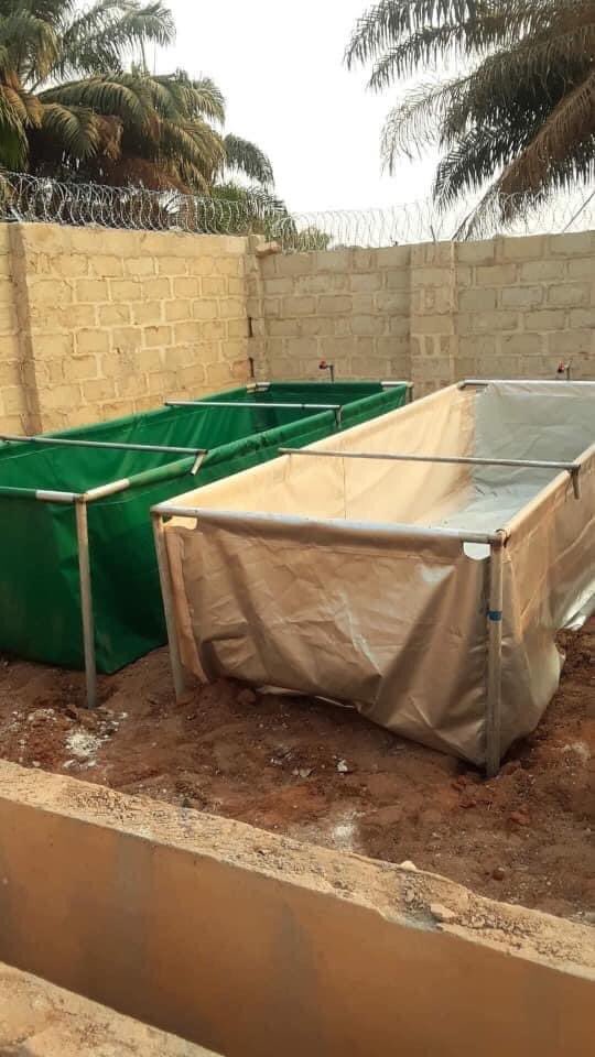 mouhammadciss's tweet photo. Une idée business par ici ! #kebetu https://t.co/Do4ClG4YuY