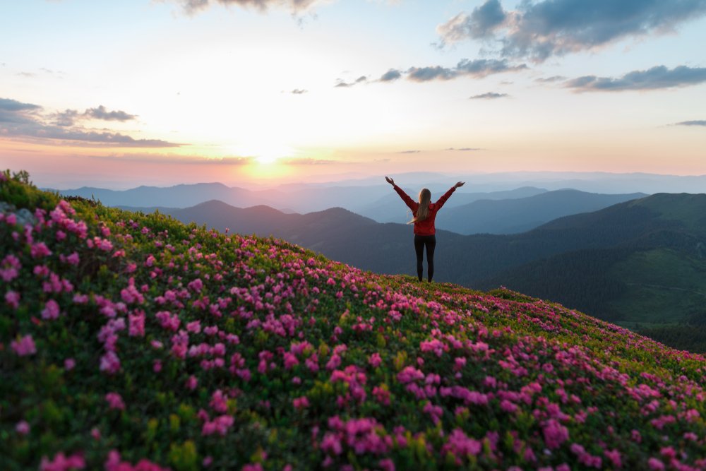 realNDWalsch's tweet photo. When you have awakened yourself you will know what your purpose is—what your reason for being alive is, what the reason for all of life is. Then you can decide to express &amp; experience that. And this will help and encourage others around you to work on themselves in the same way. https://t.co/eqNIa3R5KB