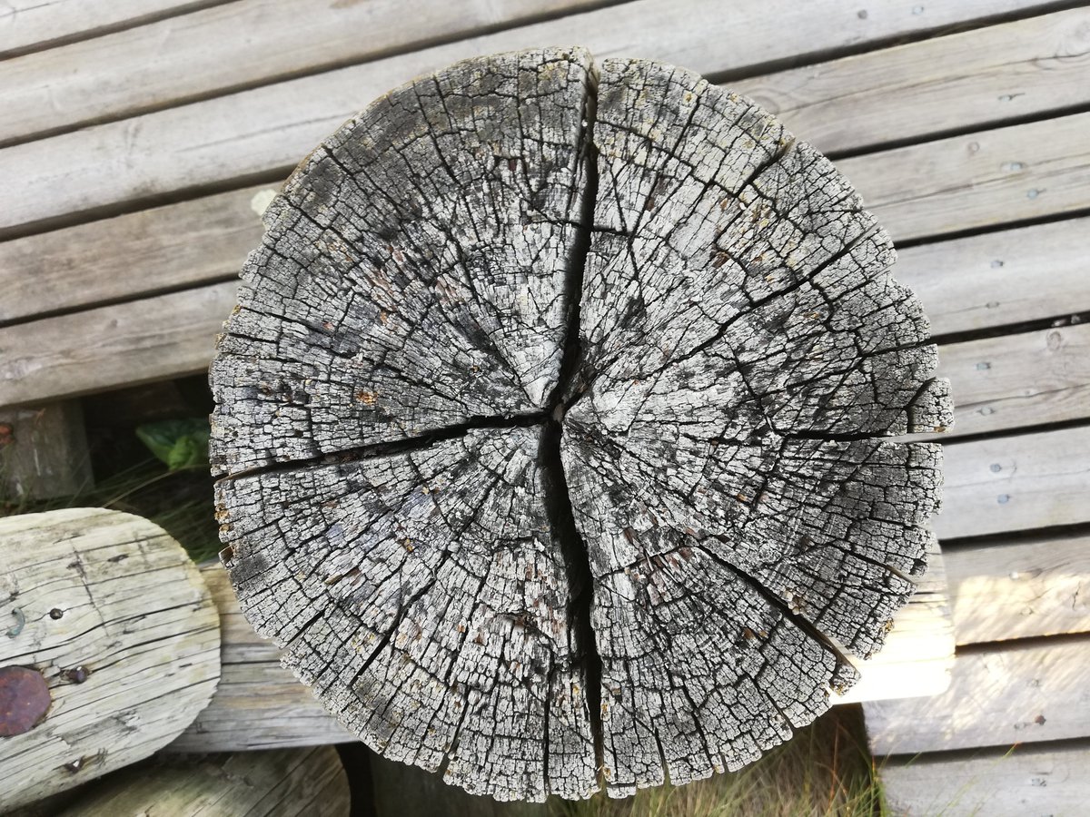Aktiivinen's tweet photo. Pomarkun Isonevan pitkospuut on uusittu EU-rahoituksen turvin, kuten moni lÀhiliikuntapaikoistamme. #pomarkku #isoneva #munmaaseutu #leadersuomi #lÀhiliikunta #luonto #Finland #EUworks https://t.co/ovM716ToR4