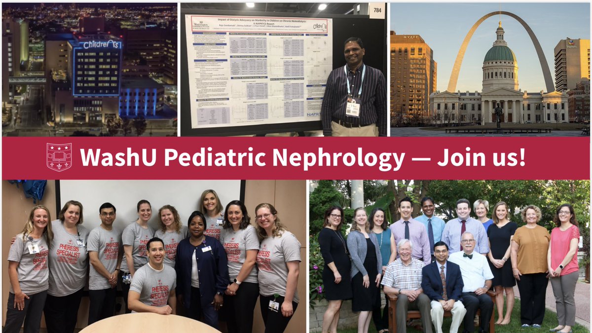 WashU Medicine Pediatric Nephrology (@washumedpedneph) on Twitter photo Excited to see #PedNeph #fellowship applications coming in to <a href="/WUSTLmed/">Test Account</a> and <a href="/STLChildrens/">STLChildrensHospital</a>! There is still time to apply! #nephrology #STL Excited to see #PedNeph #fellowship applications coming in to <a href="/WUSTLmed/">Test Account</a> and <a href="/STLChildrens/">STLChildrensHospital</a>! There is still time to apply! #nephrology #STL