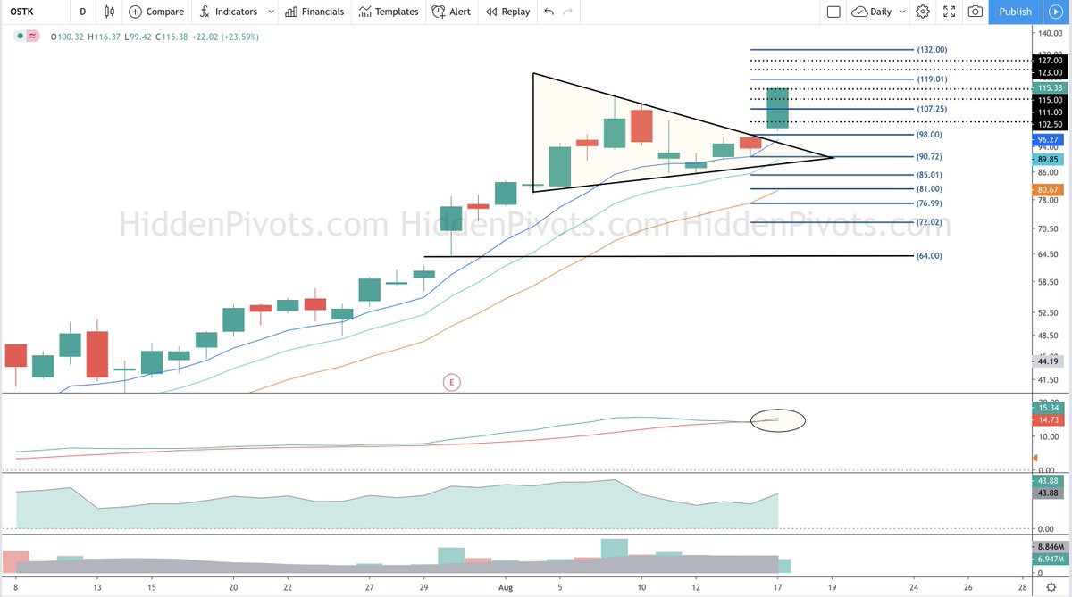 HiddenPivots's tweet image. $OSTK Boom Boom🚀 
I&apos;m most happy for the #HPteam and everyone who followed from near and far.😉 Cheers