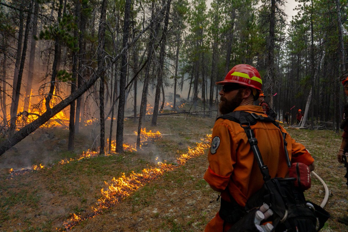 TheSmokeyGeneration tweet media