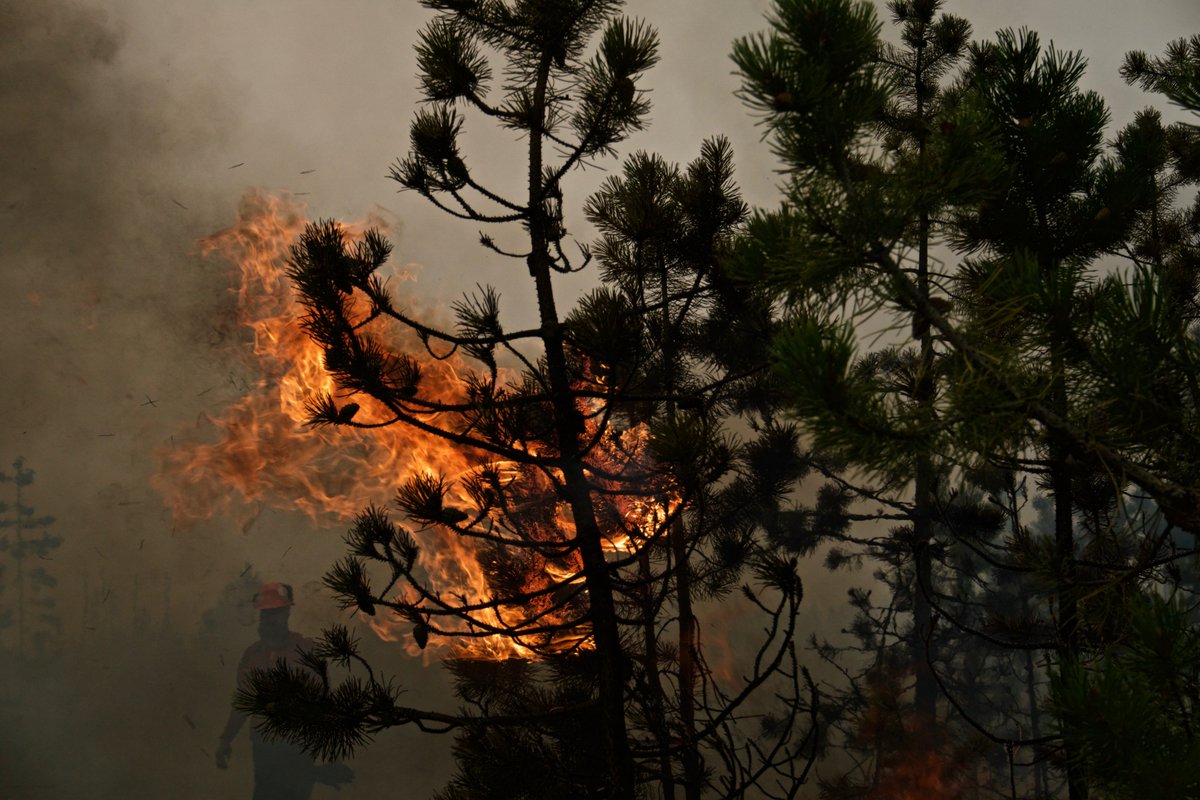 TheSmokeyGeneration tweet media