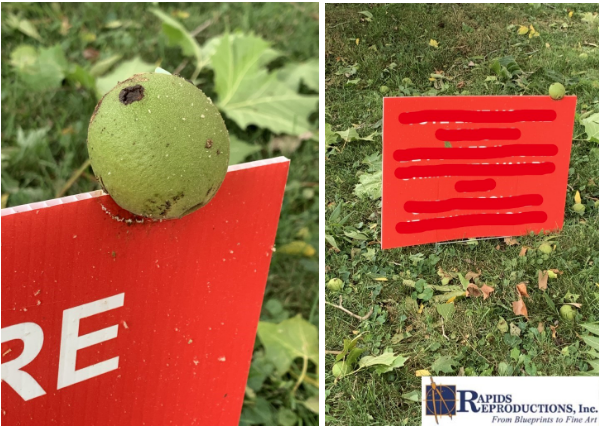 Wind approved yard signs!
This sign stayed damage free through the storm this past Monday, but the walnut wasn’t so lucky.