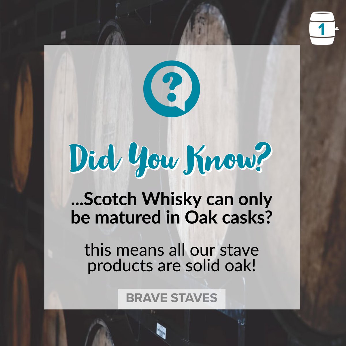 Scotch Whisky Cask Facts! 🧐

etsy.com/uk/shop/BraveS…  🛍

#whiskybarrel #winebarrel #whiskey #whisky #bourbon #sherrybutt #barrel #bourboncask #sherry #annandaledistillery #redwinebarrel #casks #newmakespirit #americanbourboncask #buywhisky #caskforsale #butts #whiskeycask #new