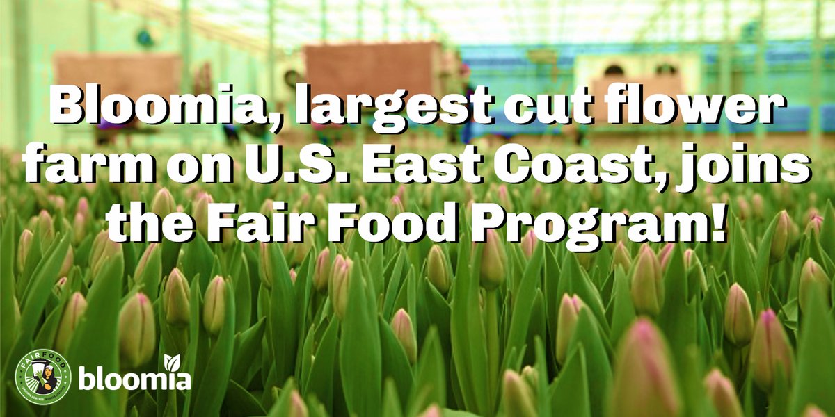 ciw's tweet photo. BIG NEWS: @bloomiaflowers — international leader in the cut flower industry with farms on four continents — brings its U.S. greenhouse operations in King George, Virginia, into the expanding @FairFoodProgram… 

Read more: https://t.co/Bsc23UbPcc https://t.co/2XnGrGDw7L