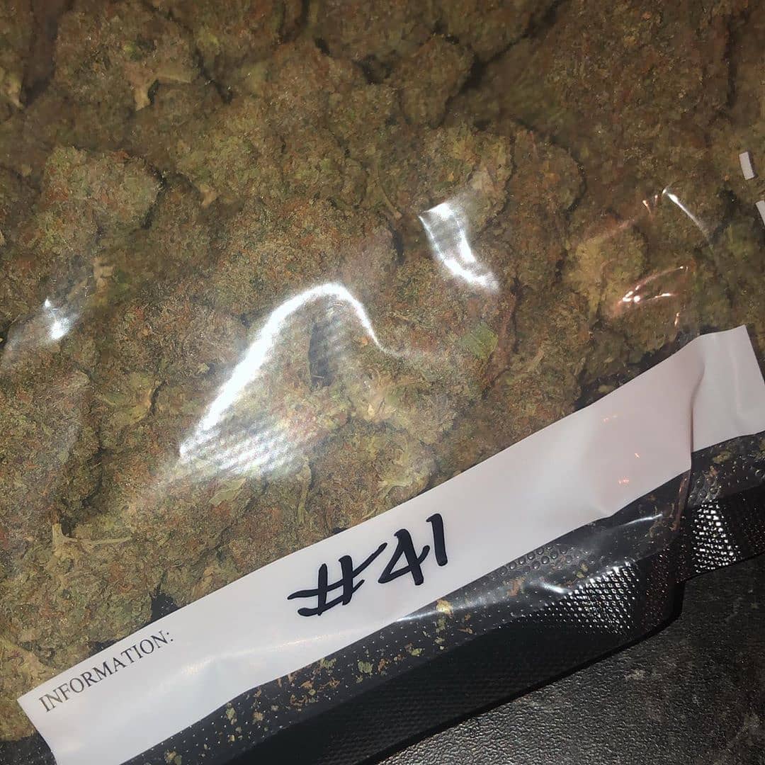 BudsSteven's tweet image. Top quality shelf bags