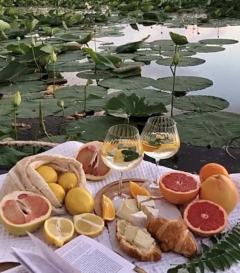 peppertree89's tweet photo. You, me, 5 lemons, 3 grapefruits, 1.25 oranges, 2 glasses of water and some brie croissants in a pond. #perfectdateideas https://t.co/nIBhFTaXEm