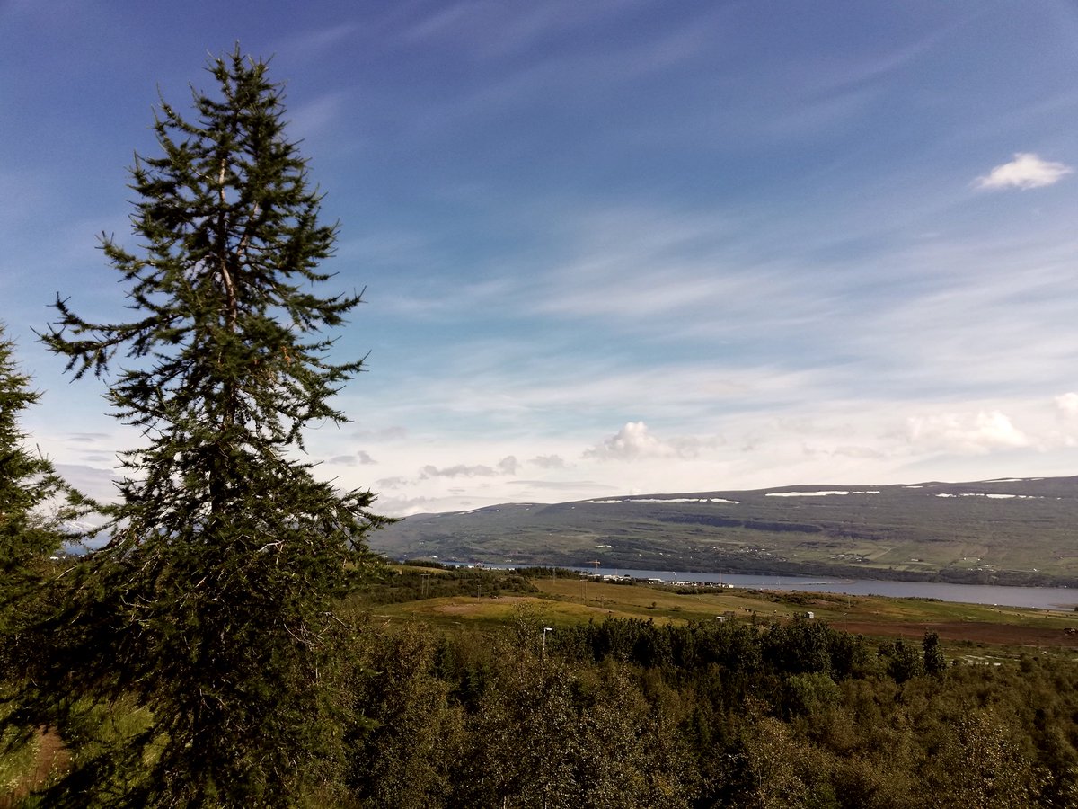 Flammeus9's tweet photo. A good view over Eyjafjörður is all I need sometimes.
•
•
•
•
•
#outdoors #hiking #trees #naturelover #mountain #mothernature #natur #landscape_lovers #homesweethome #hometown #love #home #indie #alternative #indiemusic #indieartist #indierock #newmusic #rock #unsigned https://t.co/v6Hwu0P4UI