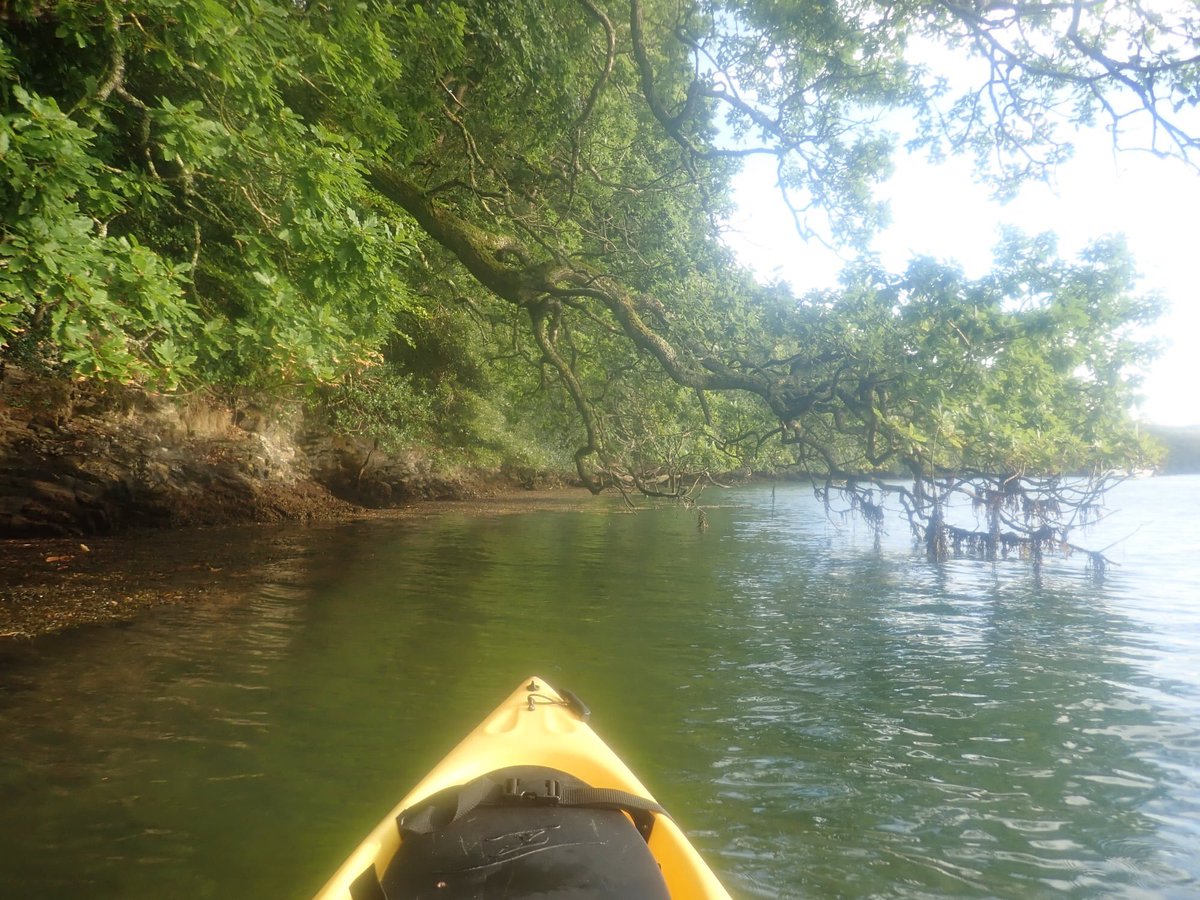 HettyKoru's tweet photo. Lovely getting out on the water this evening #lovekayaking #Cornwall https://t.co/eCXwUmsMLL
