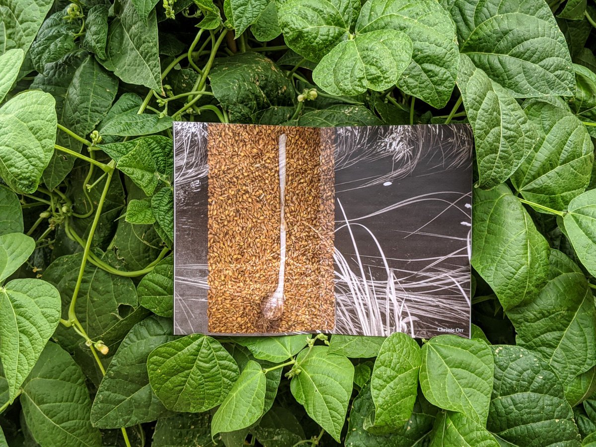 Spotlight on Chrissie Orr, one of the contributors to the 'Moment Book, Volume 1: Connection'. In her spare time Chrissie grows ancient varieties of corn and beans "to learn new ways of being in this world". Order your free copy at creativesantafe.org/initiative/mom…