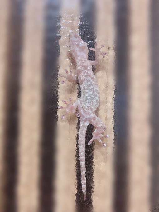 Twitterのコスプレ画像31