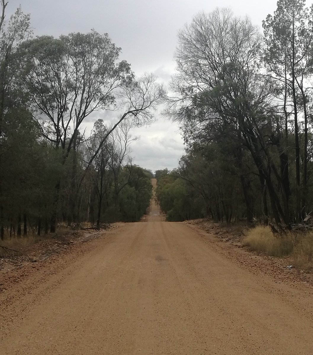 Since my fieldwork in Tasmania was covid cancelled I went north to Queensland, on Barunggam country with the lovely <a href="/jacq_matthews/">Jacq</a>