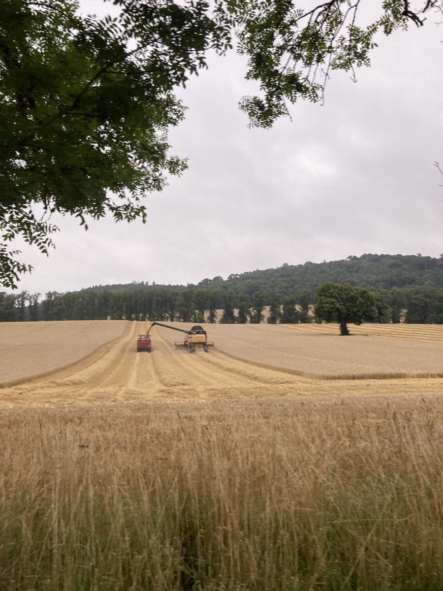 tricia_moran's tweet photo. A 7.5 mile cycle tonight after a weekend of being a bit under the weather, was lovely to be out doing something active #AHPsActive #weactivechallenge2020 #wac201 https://t.co/OwkolhBWR2