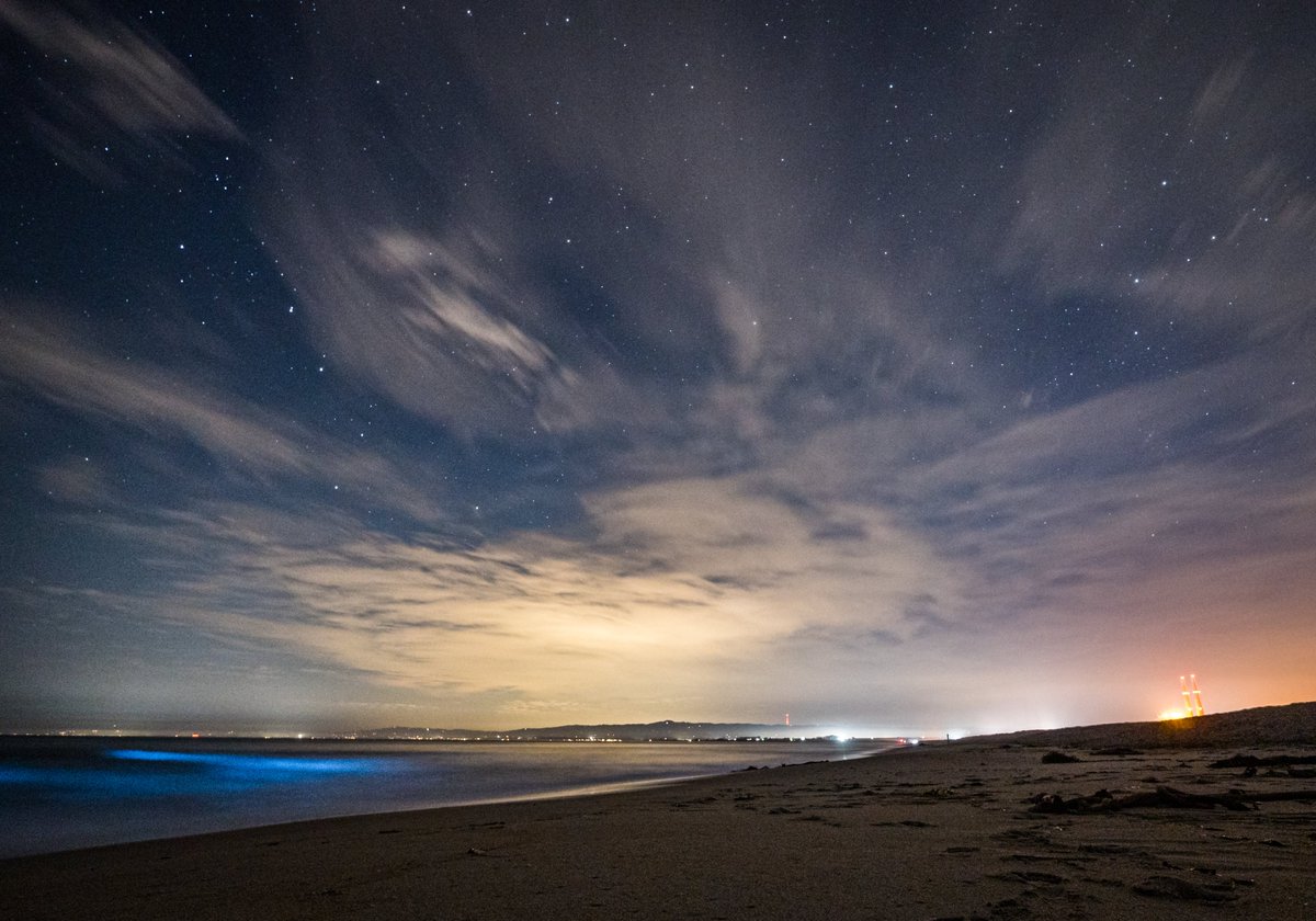 3/13 In fact, our colleagues  @MBARI_News found that over 75% of species they’ve found in the deep sea in our backyard are bioluminescent!  https://www.mbari.org/new-study-shows-that-three-quarters-of-deep-sea-animals-make-their-own-light/