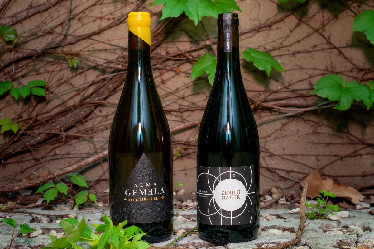 Aurea Vinos (@aureavinos) on Twitter photo #AUREAStyle / Los vinos de <a href="/OnofriWines/">Onofri Wines</a> tiene por objetivo mostrar diversidad, carácter y calidad como si fuera la selección de una carta de vinos en un gran restaurant, desde vinos desnudos sin madera, frescos y frutados hasta complejos de cortes y con gran potencial de guarda. #AUREAStyle / Los vinos de <a href="/OnofriWines/">Onofri Wines</a> tiene por objetivo mostrar diversidad, carácter y calidad como si fuera la selección de una carta de vinos en un gran restaurant, desde vinos desnudos sin madera, frescos y frutados hasta complejos de cortes y con gran potencial de guarda.