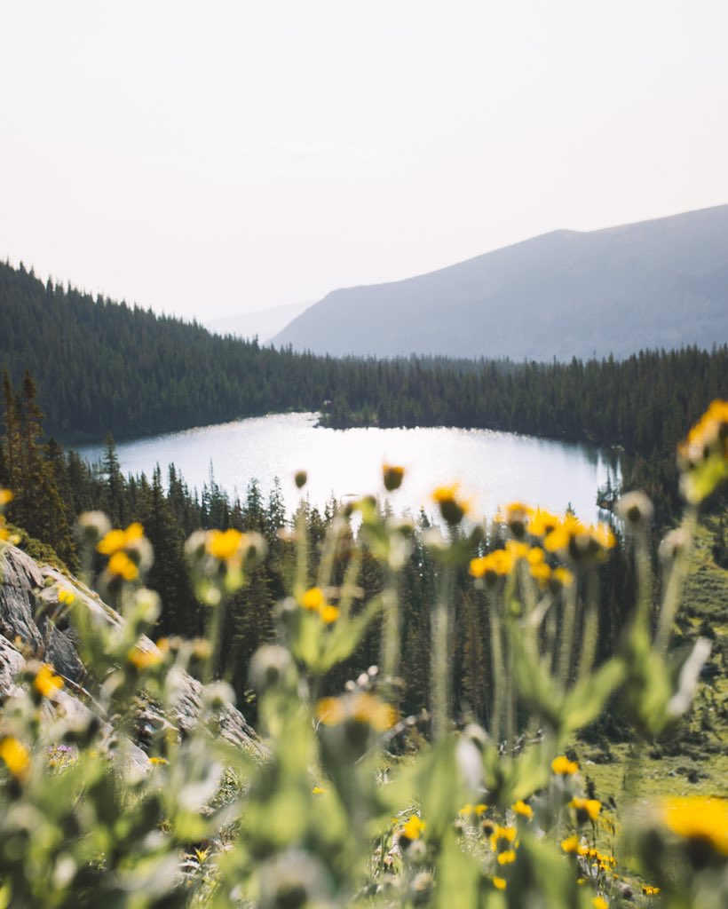 TRAVEL AND CAMP ON DURABLE SURFACESphotos of models in a field of flowers are gorgeous but can cause some serious & permanent damage to the ecology of an area. don’t be a meadow stomper. same goes for the desert!!  https://lnt.org/why/7-principles/travel-camp-on-durable-surfaces/ https://www.nytimes.com/2019/03/23/style/super-bloom-california-instagram-influencer.html