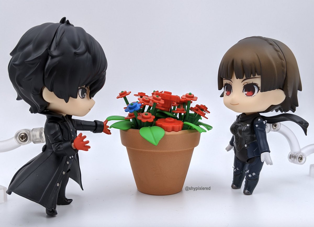 ShyPixieRed's tweet photo. Joker shows Queen how he raised them himself.
(With a little help from Haru...)
3/3
#shumako #MakotoNiijima #主真 #新島真 #ペルソナ5 #Persona5 #WithBaki #OneBlueForShumakoColors 💙❤️ https://t.co/5tYBcPquzh