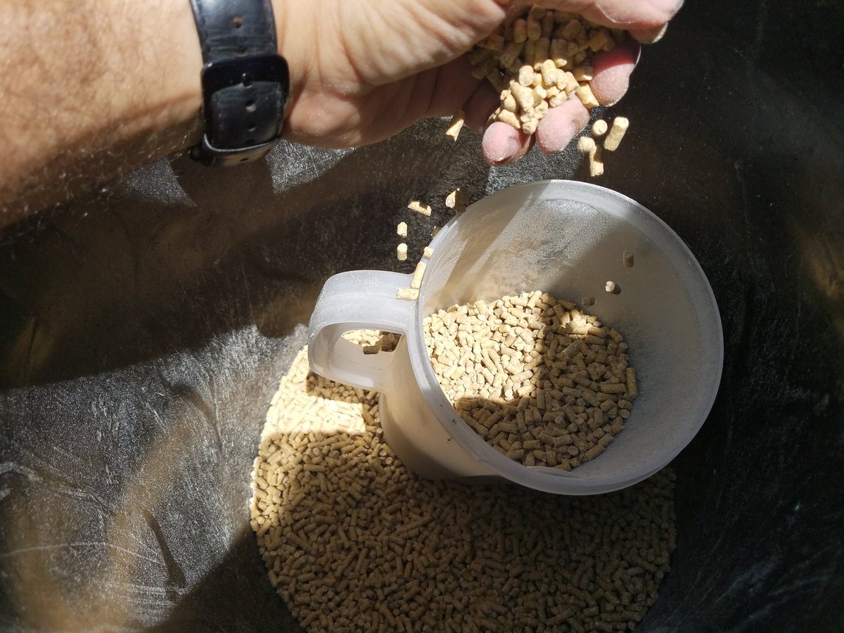 Patton Eco Team tweet media