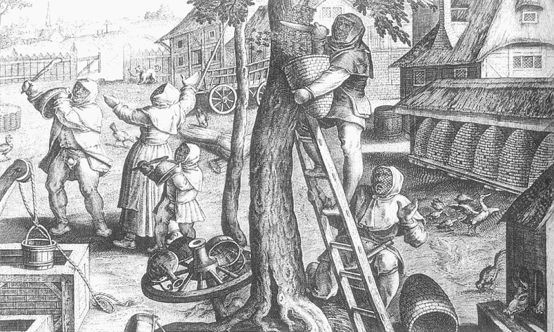 Look the whole family gets involved, they are making noise, this is called tanging, it allows you to lure the bees away.1500s, by Stradanus, Johannes Stradanus, Jan van der Straet or Giovanni Stradano (all the same guy!) https://en.wikipedia.org/wiki/Stradanus&nbsp;