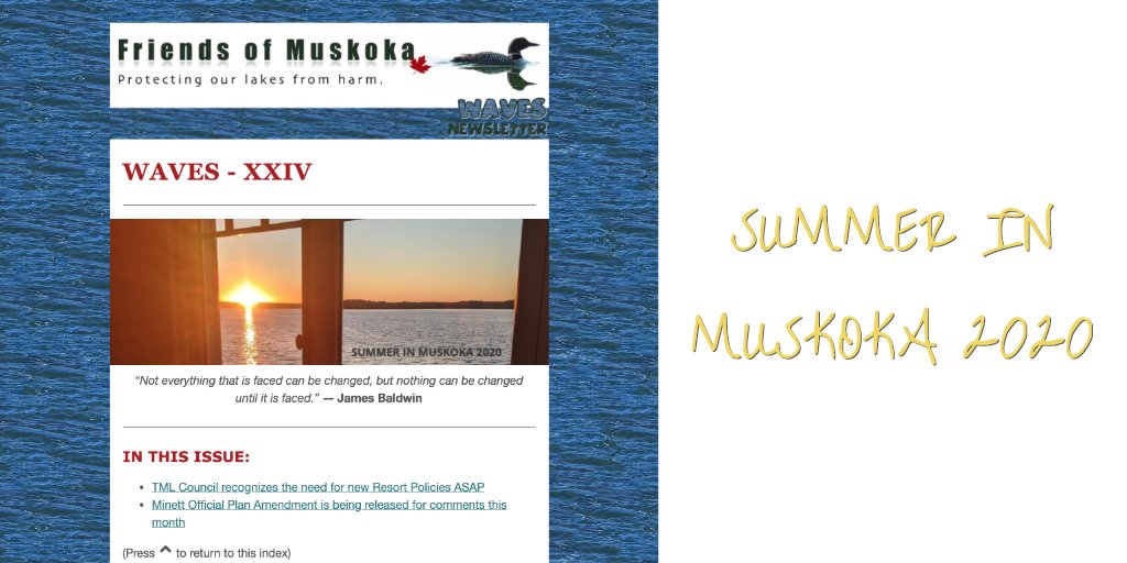 WAVES - XXIV - mailchi.mp/8b17e096e31b/w…