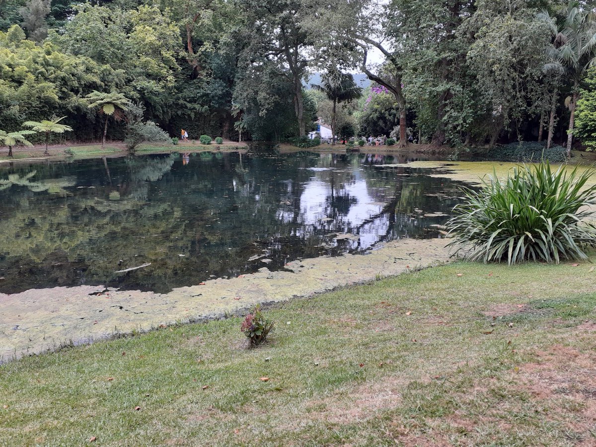 A stop in Vilafanca do Campo, that was the first capital of Azores until it got devastated by an earthquake in 1522, then I went to Furnas, known for its thermal waters.The forests are a strange mix of European and tropical. Thermal baths crowded... Better avoid I guess.34/n &ndash; bei  Parque Terra Nostra