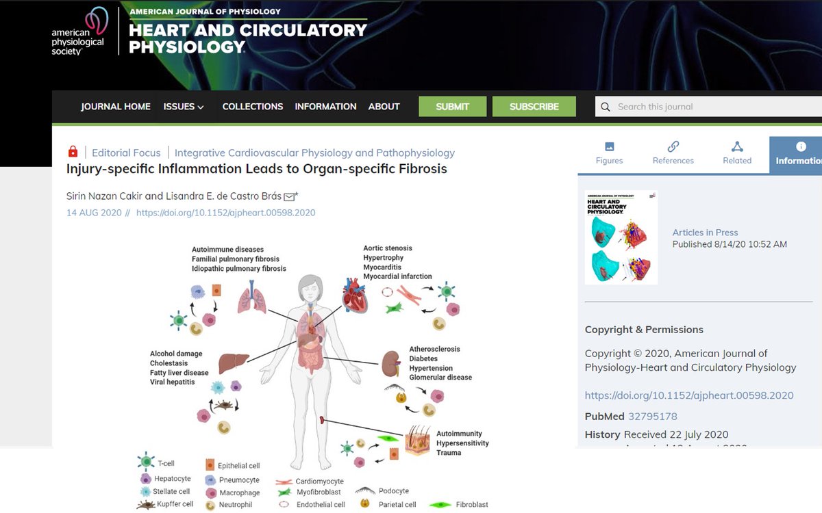 ajpheartcirc's tweet photo. #ArticlesInPress #EditorialFocus Injury-specific Inflammation Leads to Organ-specific Fibrosis
https://t.co/zUt8h3SX7n
@The_Bras_Lab
#Fibrosis #Inflammation #OrganFunction https://t.co/xvekSdXSmK