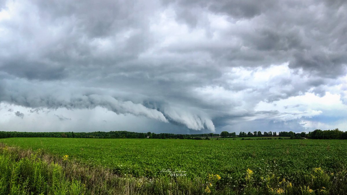 sjacksondesign's tweet photo. This was awesome to watch roll into the backyard. I guess it was the side yard. #ShareYourWeather @IWeatherON @weathernetwork #stormhour #greycounty #onwx #weatherwatcher https://t.co/jyZ3j6kOEV