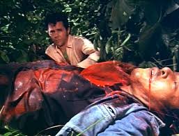 Beast Of Blood 1970 A crazy ass scientist creates amonster who lives on blood and a serum that keeps the monsteralive after his head has been chopped off Eddie Romero might not be a pure genius behind the camerabut these 3 films were solid ashell from him +9