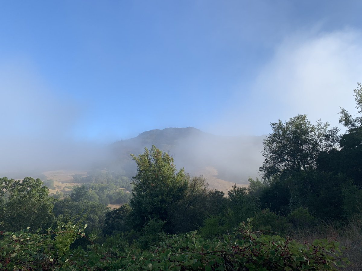 sihammatime's tweet photo. Just spent a week in Sonoma &amp; Napa. A perfect social-distancing-friendly getaway https://t.co/BAYpP2k6p7