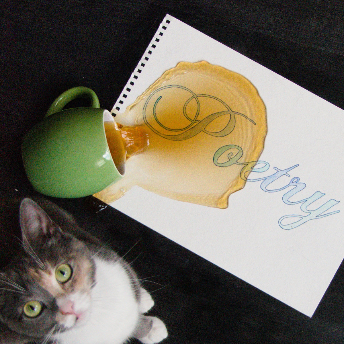 AudioScienceMa1's tweet image. Fresh Review and multiple posts for Me Me Me "Poetry" 
mickeysweekly.com/tracks/me-me-m…