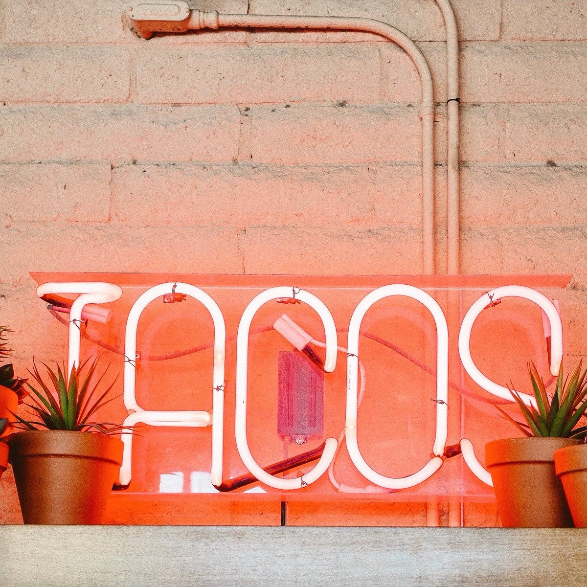 The day we’ve all been waiting for...TACO MONDAY 🌮👏🏼