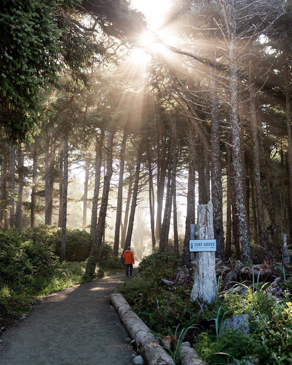 While you’re visiting #Tofino please tread lightly &amp; #leavenotrace. We cherish and respect this sensitive environment and all who live within it and urge you to pitch in to help protect our beaches and forests.🌲 Pack out what you pack in.  🗑️ 

📷  averyswail via Instagram