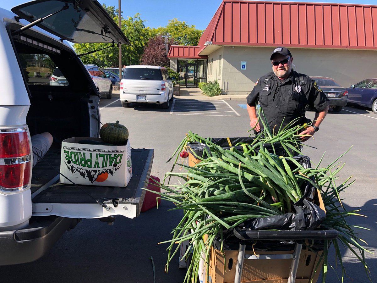 ugmspokanecda's tweet photo. Geiger Corrections Center just donated 1,000 lbs of fresh produce from their garden! Lunches are about to get even more delicious. #foodforthehomeless #farmfresh https://t.co/4UmJ2ZB9RO