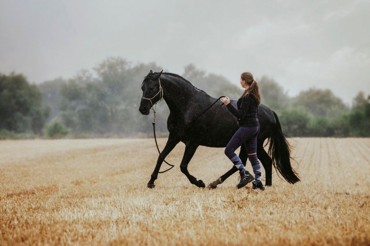 Would you like to insert your lunging in Equilab? 

It's best to do this manually afterwards. For the very brave, it is also be possible to attach the phone to the horse 🤭🐴🧡
