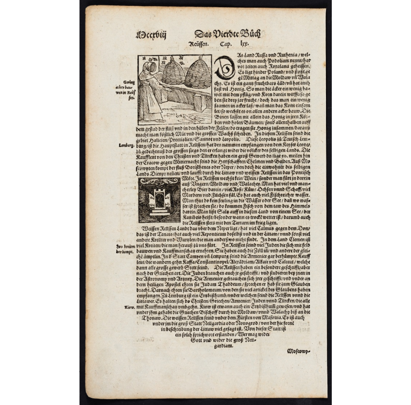 Beekeeper, looks female to me, by Sebastian Münster."Gering ackerbau wen in Reüssen" 1574. https://en.wikipedia.org/wiki/Sebastian_M%C3%BCnster